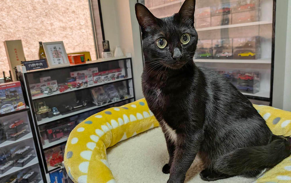 代表あいさつ画像